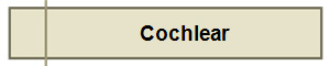 Cochlear